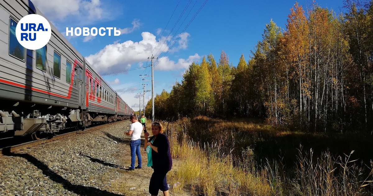 Ноябрьск ханымей поезд. Поезд Пыть-Ях Омск. ЖД станция островной ХМАО. Пыть-Ях РЖД. Поезд в тайге.