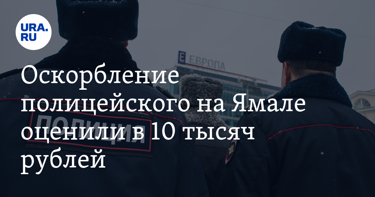 Оскорбление полиции. Статья за оскорбление полицейского при исполнении. Статья за оскорбление сотрудника полиции. Оскорбление полицейского в Швеции ответственность. Какой срок за оскорбление полиции.