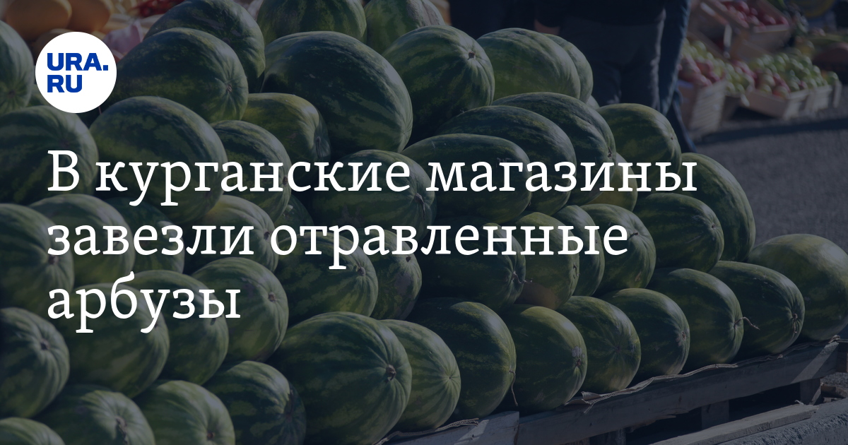 Купить Магазин В Курганской Области