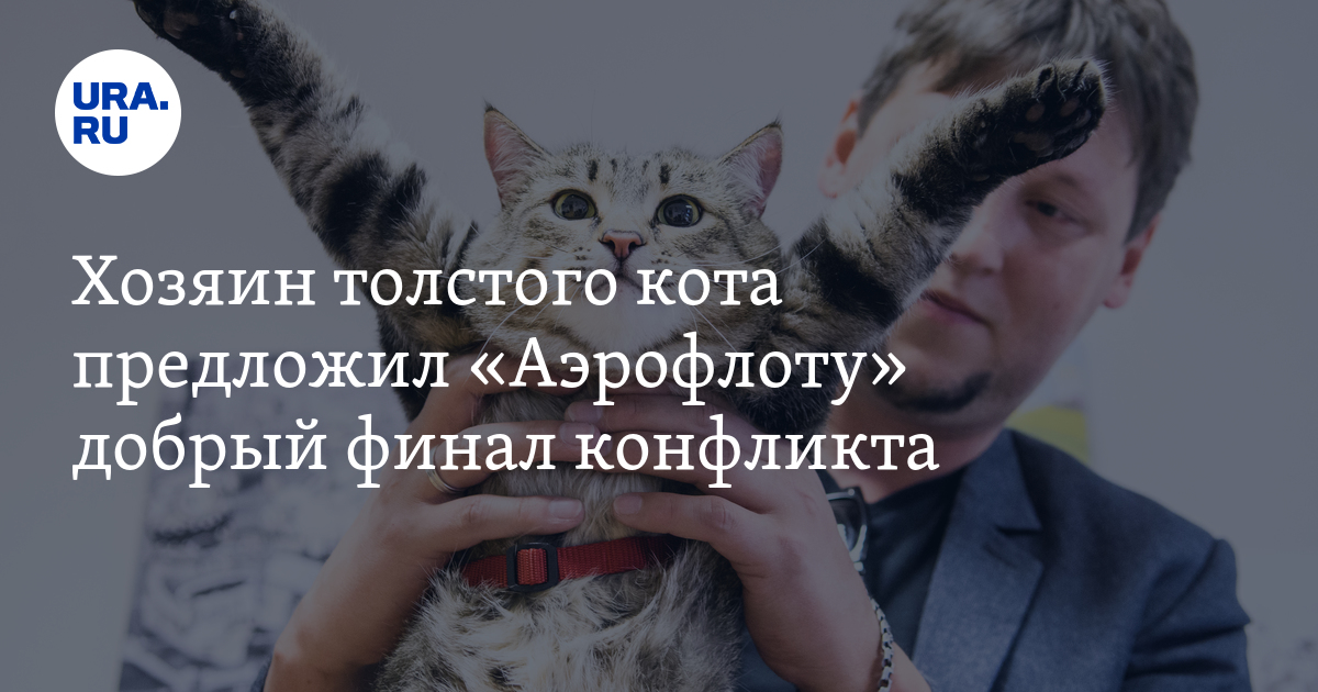 Коте предлагает