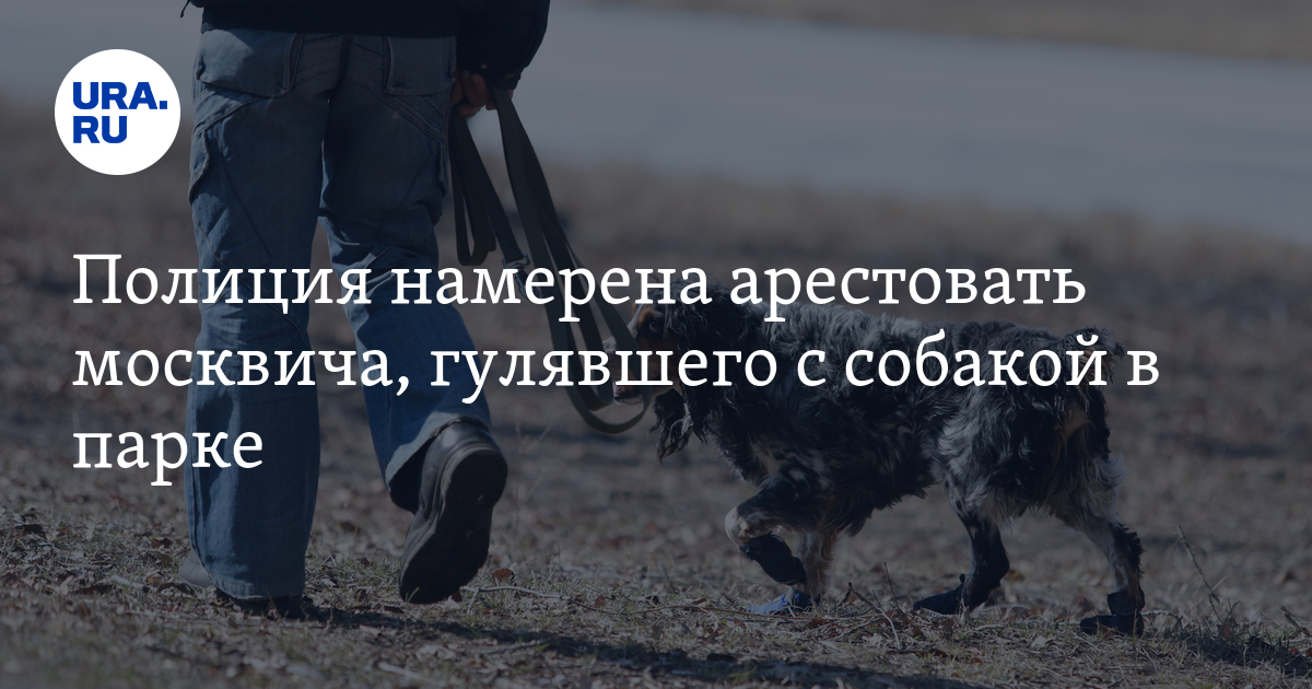 Москвича задержали во время прогулки с собакой