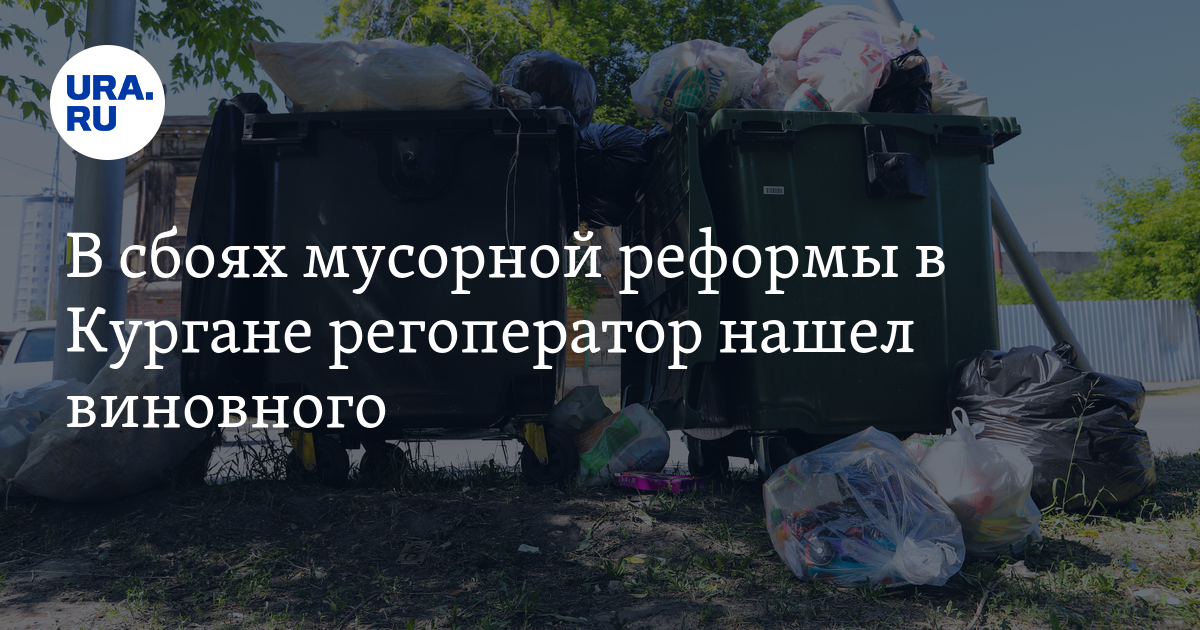 Проект мусорная реформа