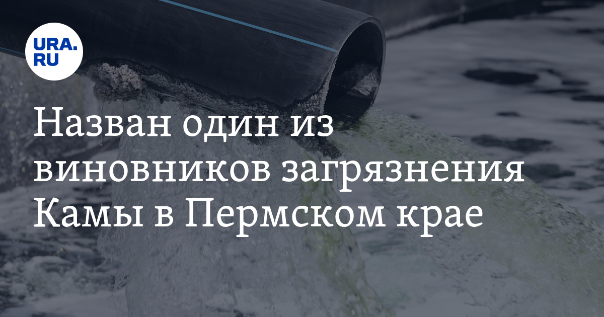 Назван один из виновников загрязнения Камы в Пермском крае. Он ...