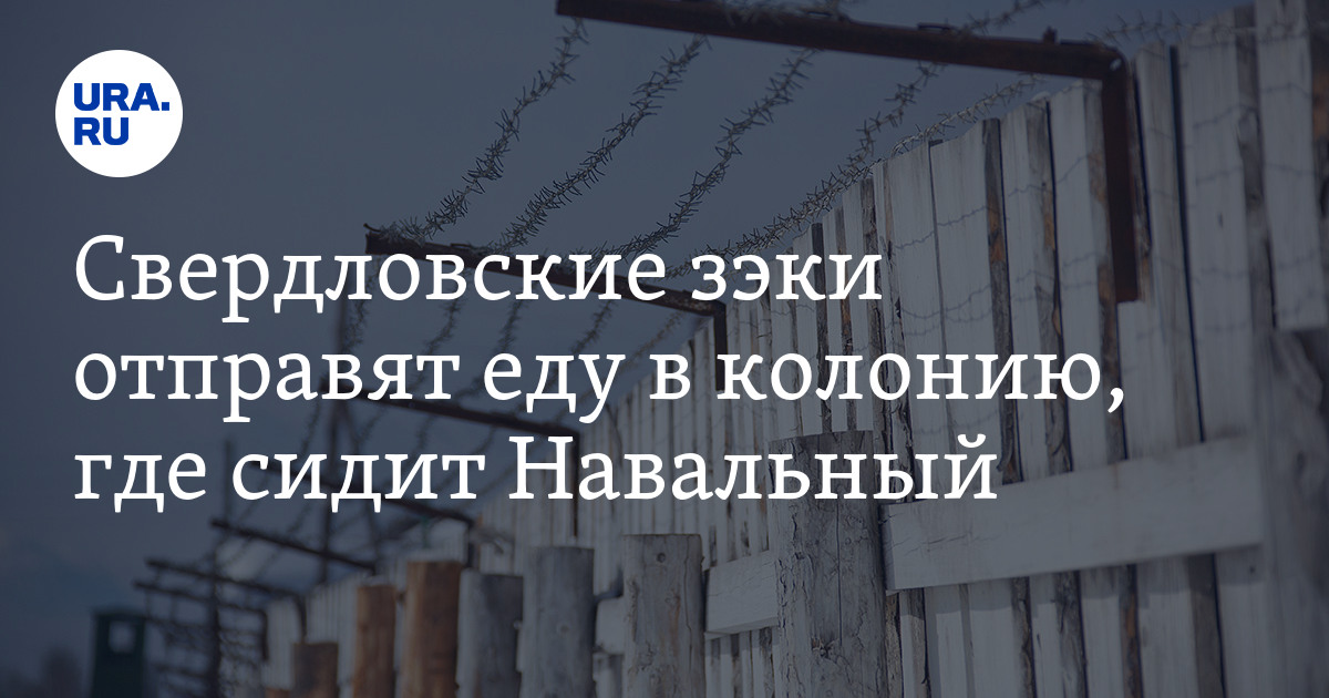 Тюрьма где сидел Навальный. Тюрьма где сидел Навальный фото. Амнистия 2024 для женщин по каким