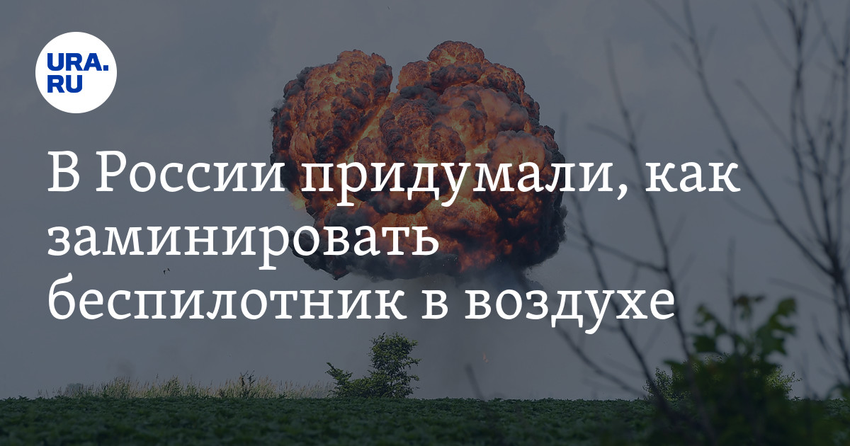 В России изобрели разгоняющего уличные беспорядки робота-"черепаху": Техника: На