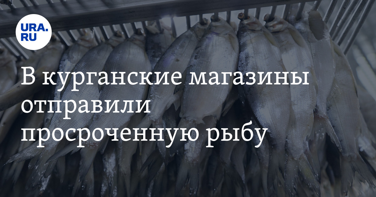 Купить Магазин В Курганской Области
