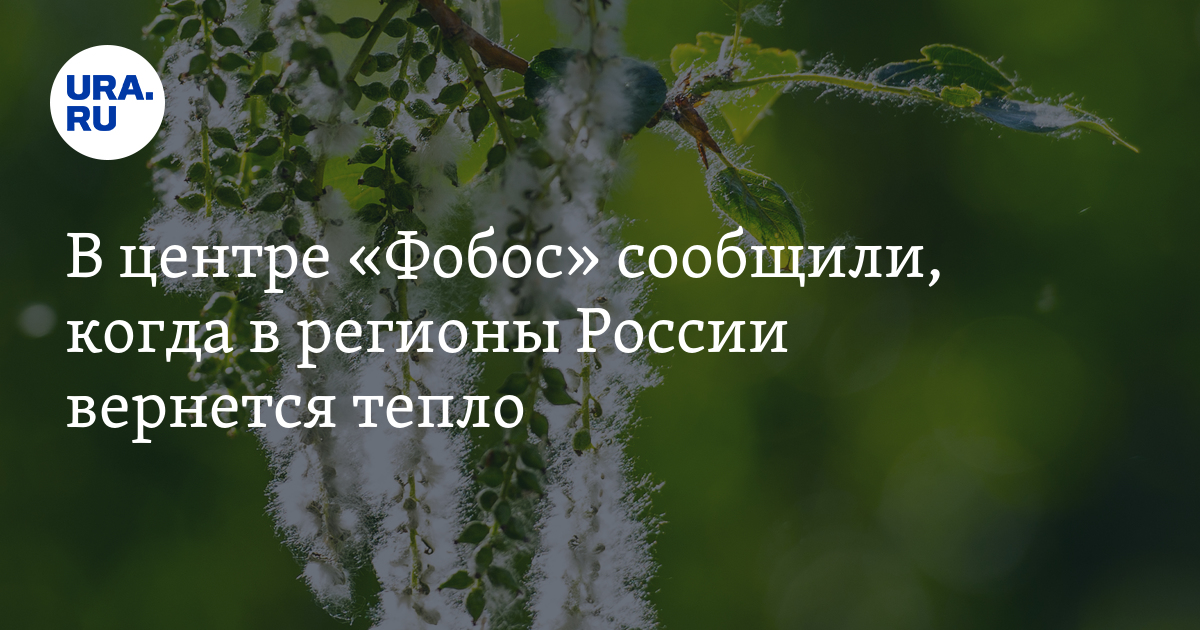 Погода фобос пермский край на 10. Центр погоды Фобос.