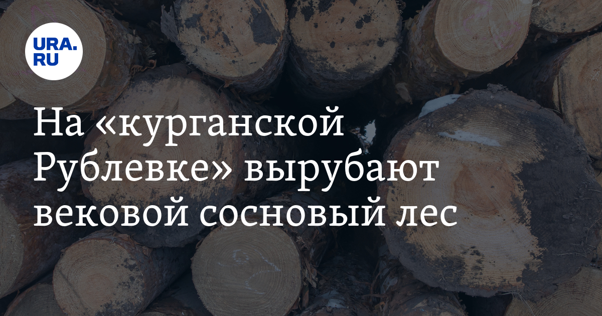 На «курганской Рублевке» вырубают вековой сосновый лес - Vimarsana News