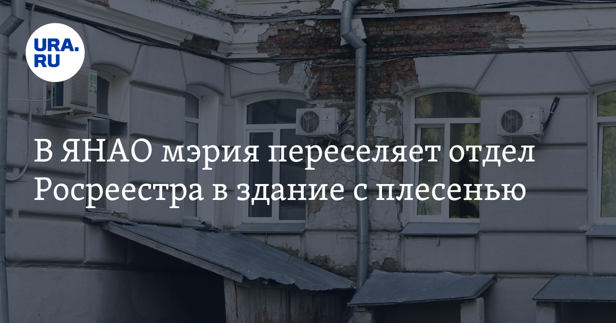 В ЯНАО мэрия переселяет отдел Росреестра в здание с плесенью - Vimarsana News