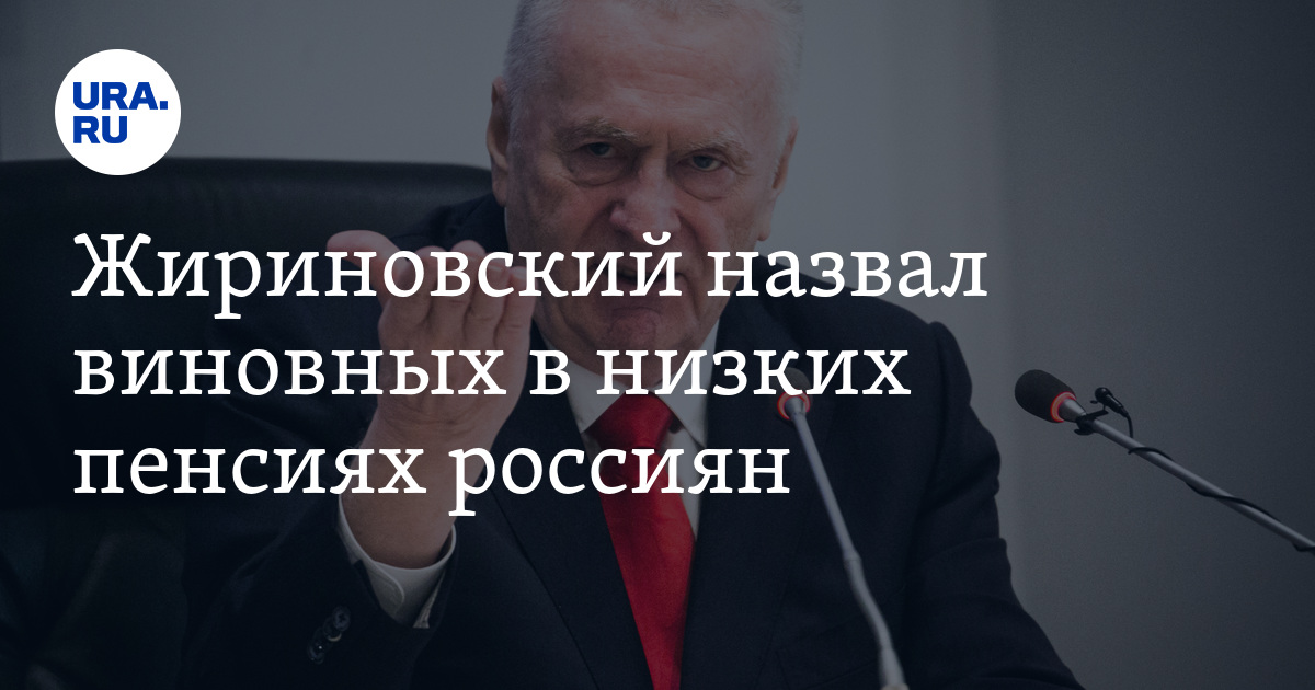 Жириновский назвал виновных в низких пенсиях россиян - Vimarsana News