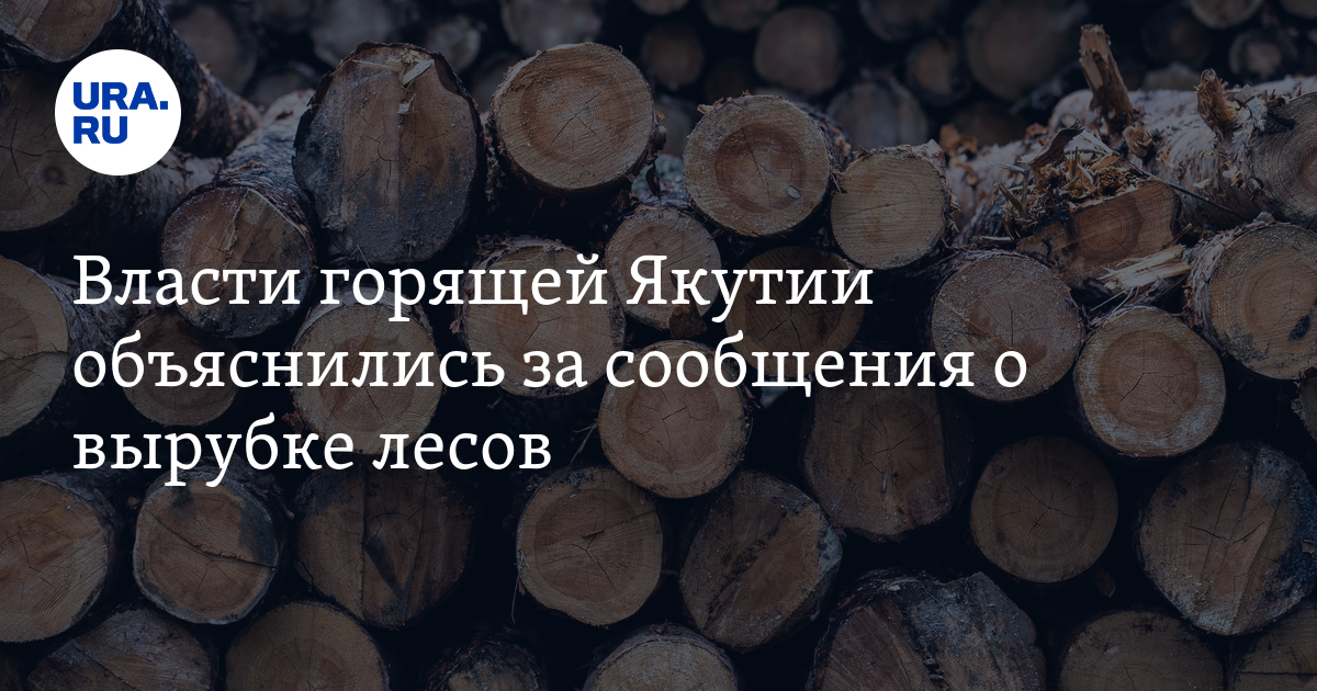 Власти горящей Якутии объяснились за сообщения о вырубке лесов - Vimarsana News