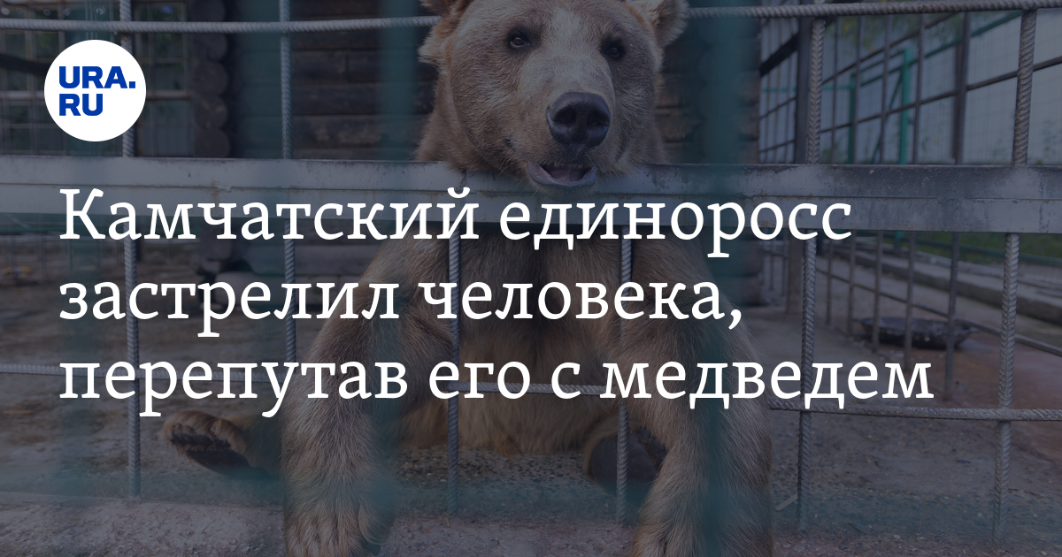 Камчатский единоросс застрелил человека, перепутав его с медведем - Vimarsana News