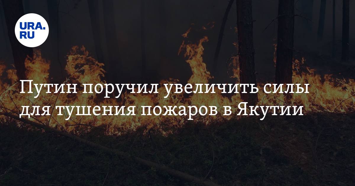 Путин поручил увеличить силы для тушения пожаров в Якутии - Vimarsana News