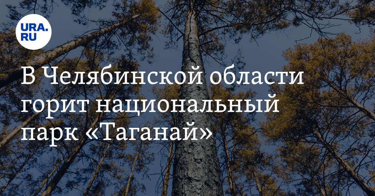 В Челябинской области горит национальный парк «Таганай» - Vimarsana News