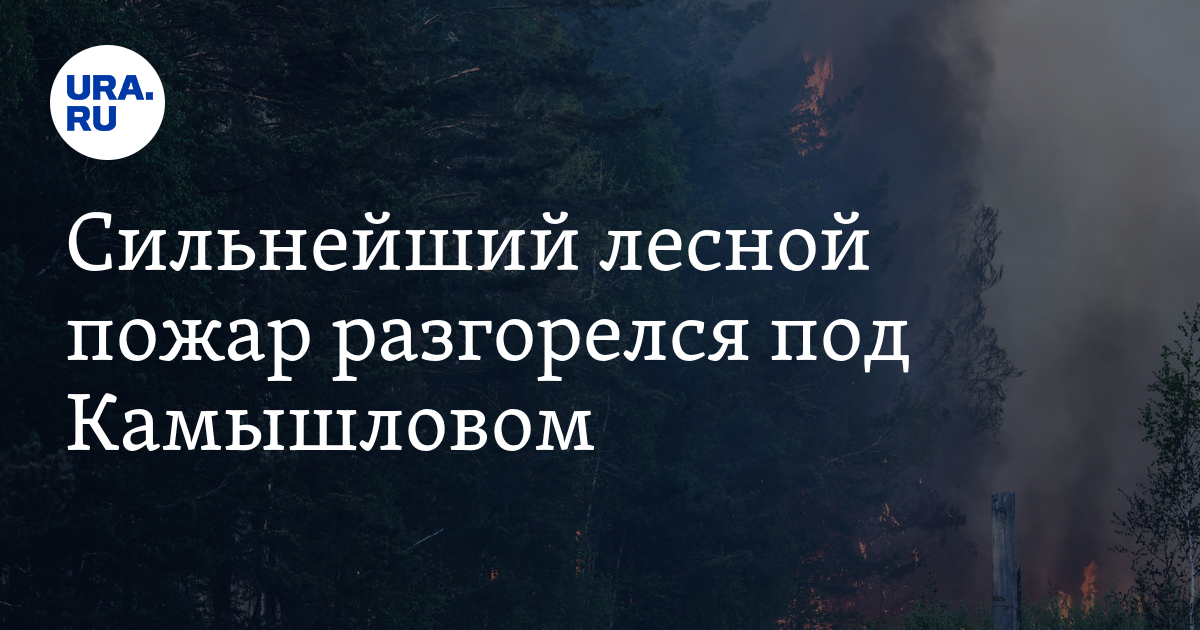 Сильнейший лесной пожар разгорелся под Камышловом - Vimarsana News