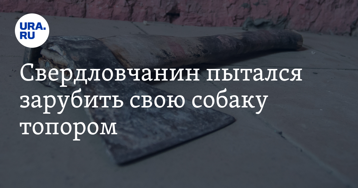Свердловчанин пытался зарубить свою собаку топором - Vimarsana News