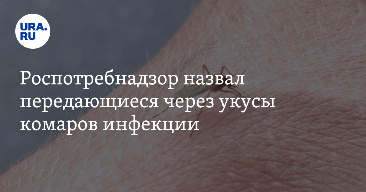 Можно заразиться вич от укуса комара. Болезнь которая передается через укусы комара. заболевания передающиеся при укусе комара. какие заболевания передаются через укус обезьяны. инфекционные укусы фото.