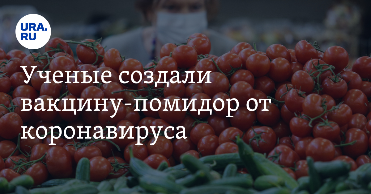 Ученые создали вакцину-помидор от коронавируса - Vimarsana News