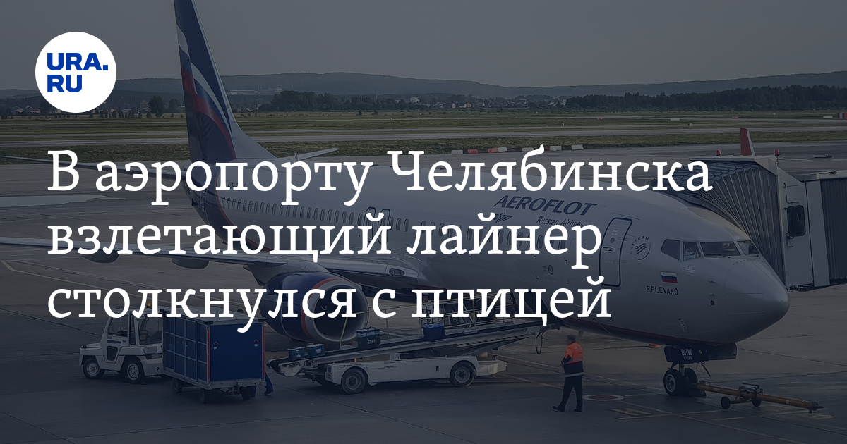 В аэропорту Челябинска взлетающий лайнер столкнулся с птицей - Vimarsana News