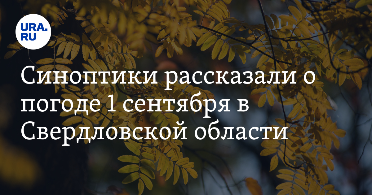 Синоптики рассказали о погоде 1 сентября в Свердловской области - Vimarsana News