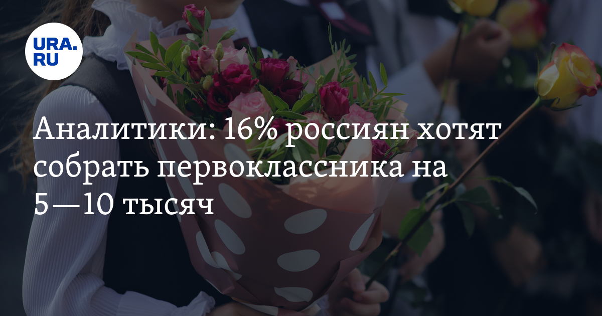 Аналитики: 16% россиян хотят собрать первоклассника на 5—10 тысяч - Vimarsana News