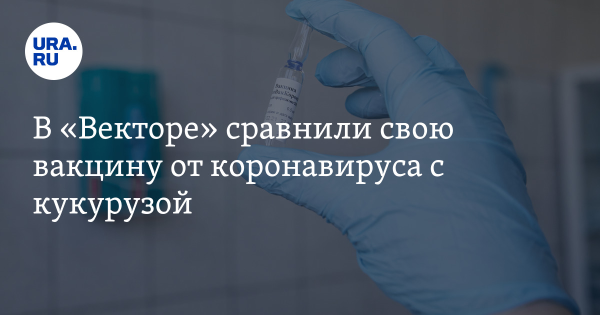 В «Векторе» сравнили свою вакцину от коронавируса с кукурузой - Vimarsana News