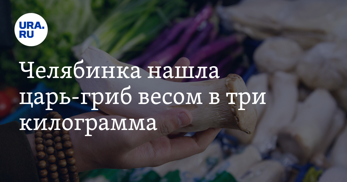 Челябинка нашла царь-гриб весом в три килограмма - Vimarsana News