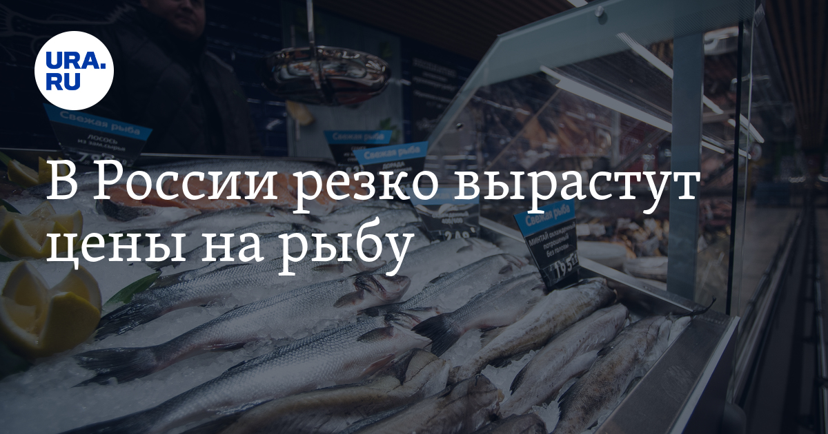 В России резко вырастут цены на рыбу - Vimarsana News