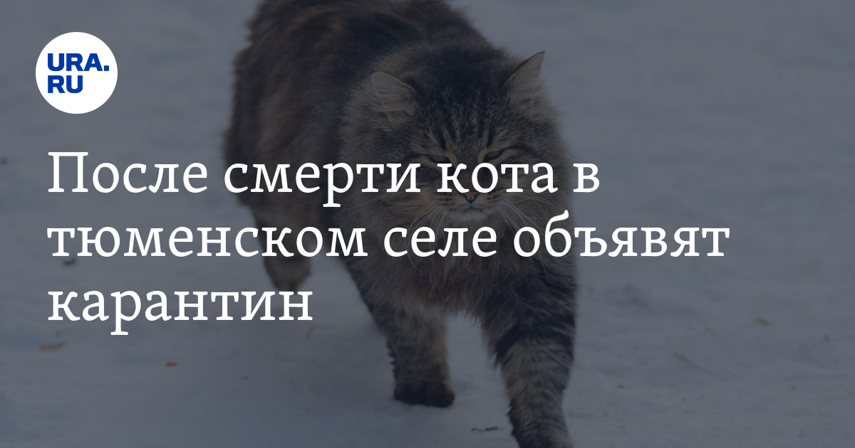 Что такое карантин?