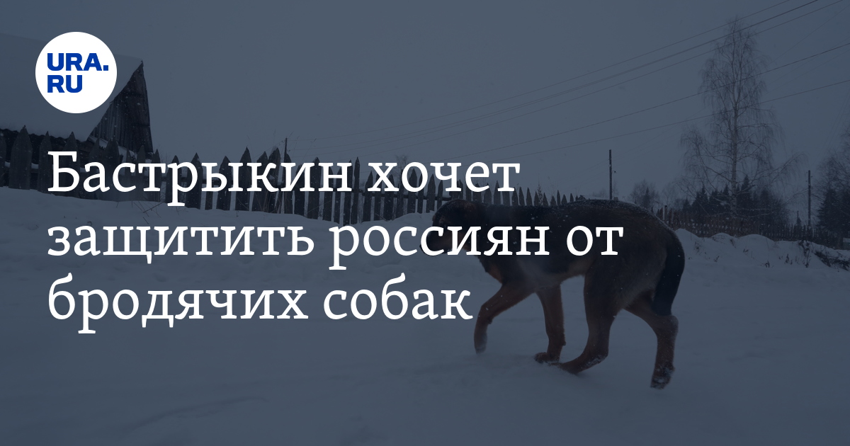 Как избавиться от собаки законно