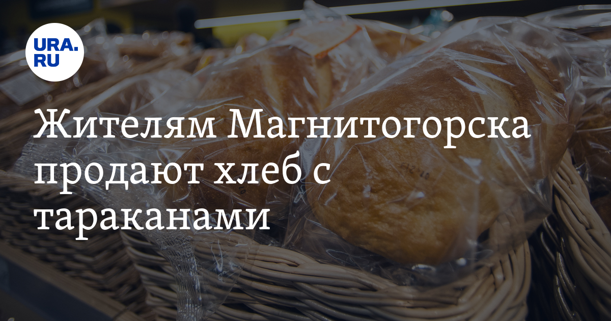 Почему солон запретил продавать хлеб за границу. Хлеб из тараканов. торт особь в челны хлебе продают.
