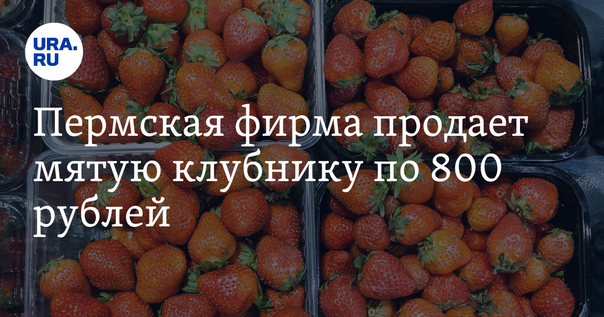 Где в Перми купить свежую клубнику: цена за килограмм