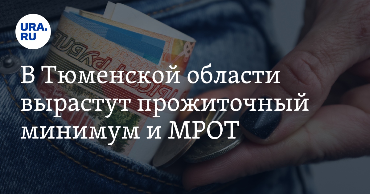 Прожиточный минимум и МРОТ в Тюменской области хотят увеличить: размеры ...