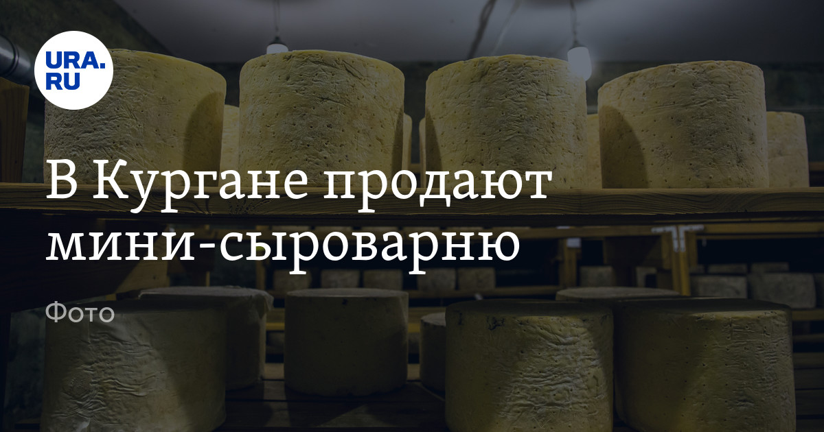 Стоимость готового бизнеса в Кургане: сыроварня, цена