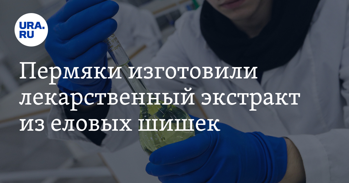Лекарство из еловых шишек
