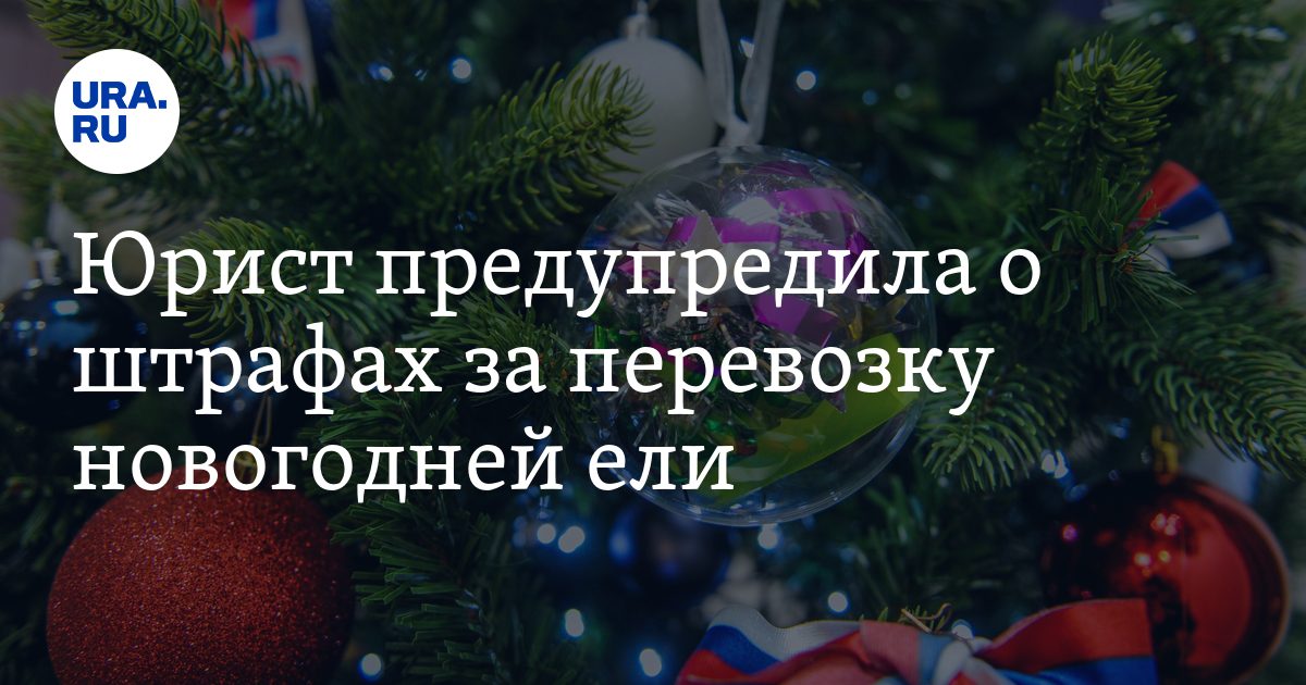 Штраф за елку