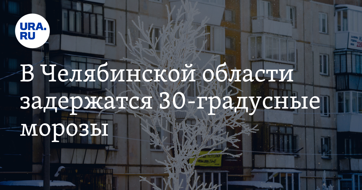 Погода в челябинске на декабрь. Первая неделя декабря.