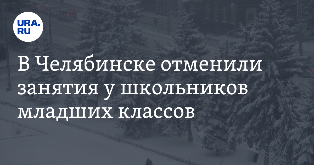 Троицк челябинская область отмена занятий 2 смена