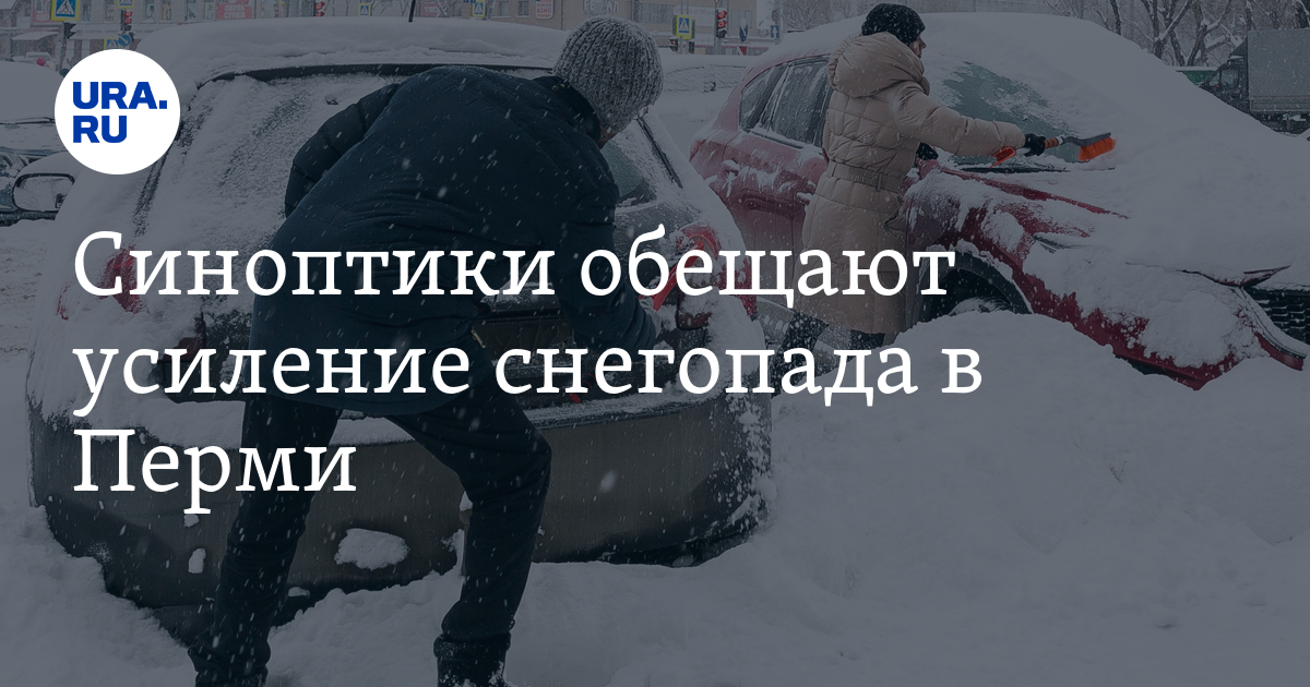 Снегопад в Перми усилится, 12 декабря 2022: прогноз