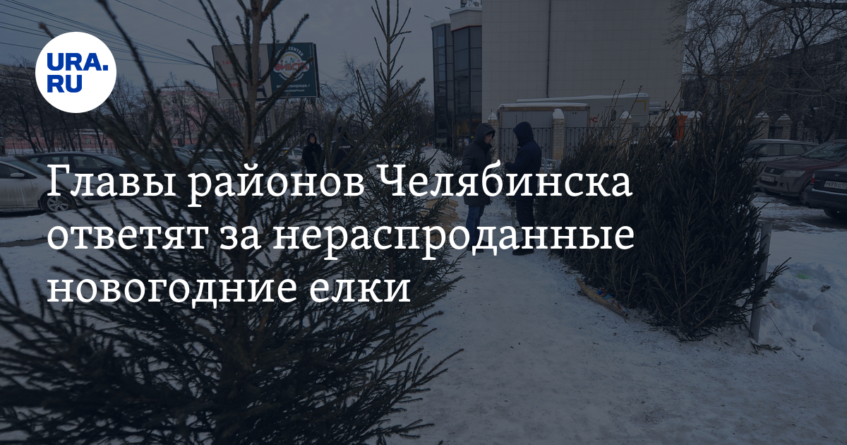 Нераспроданные елки в Челябинске утилизируют после 1 января 2023