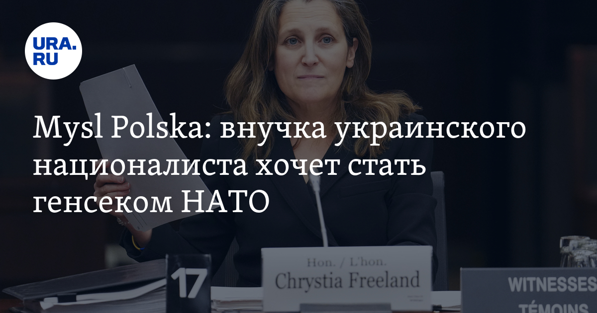 The niece of Ukrainian nationalist Chrystia Fridman wants to become NATO Secretary General