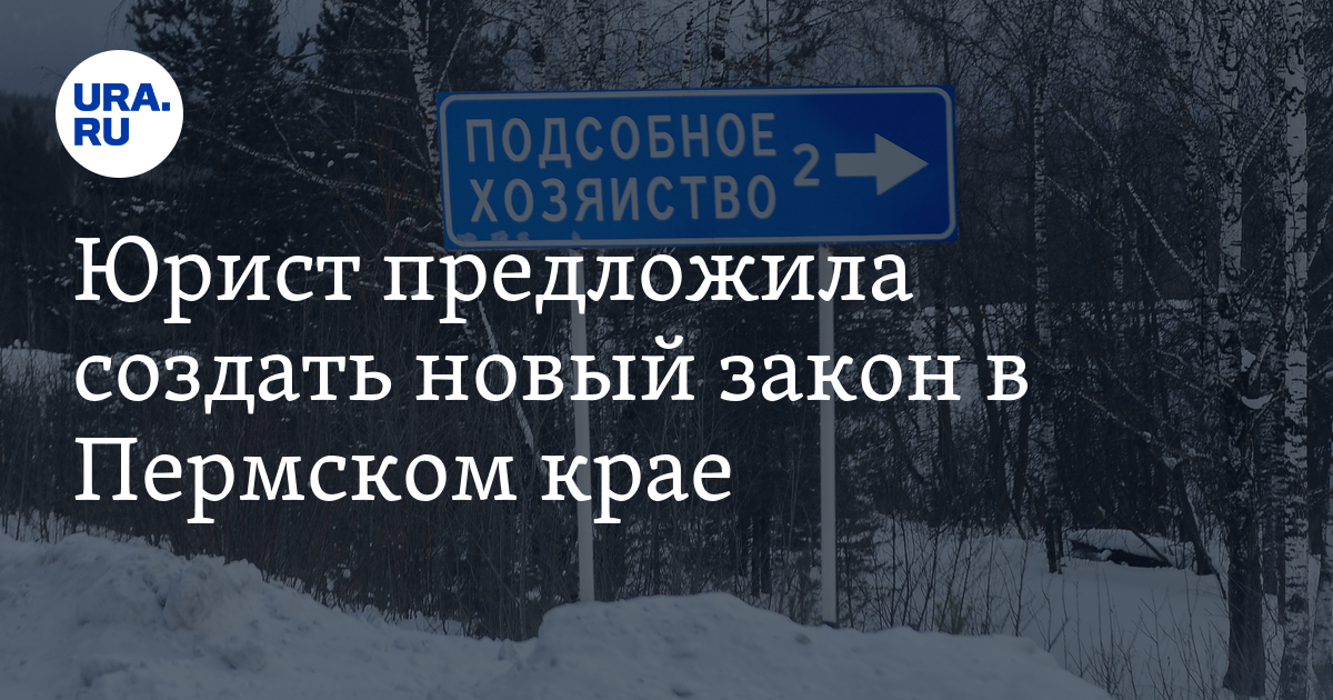 Юрист Дарья Эйвенман предложила создать закон "О личном подсобном ...