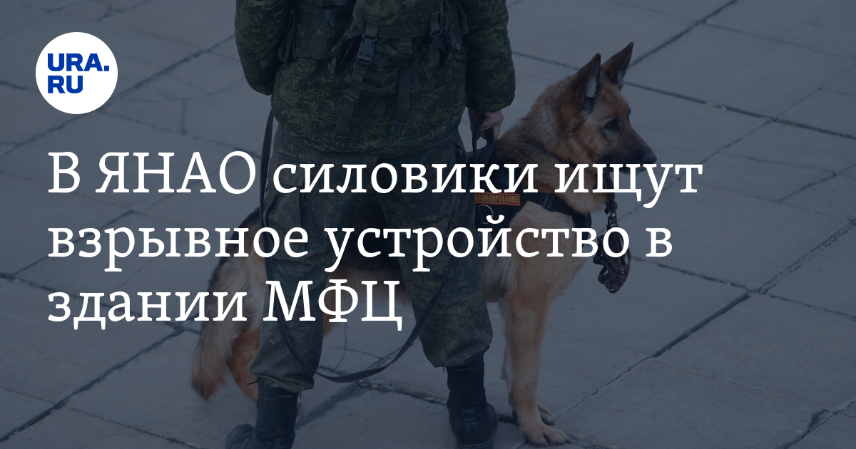 В Ноябрьске (ЯНАО) проверяют сообщение о минировании МФЦ: подробности, фото