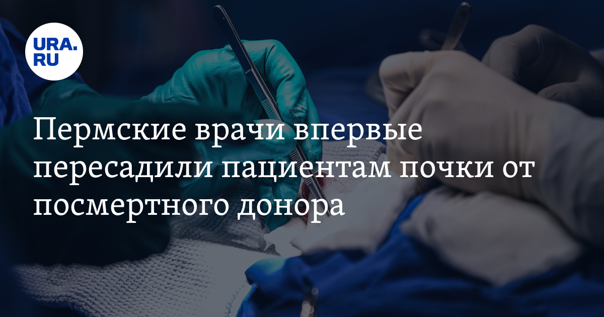 Посмертный донор. Операция по пересадке печени. Шумакова Академика больница пересадка почки. Больница в Германии по пересадке органов.