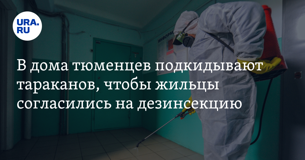 В дома тюменцев подкидывают тараканов, чтобы уговорить жильцов на ...