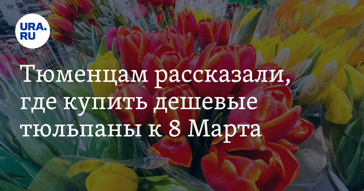 Лента Купить Тюльпаны Цена
