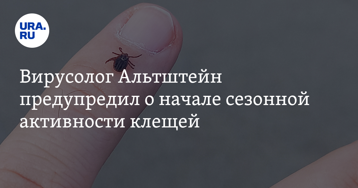 Когда начинается сезон клещей, объяснение вирусолога