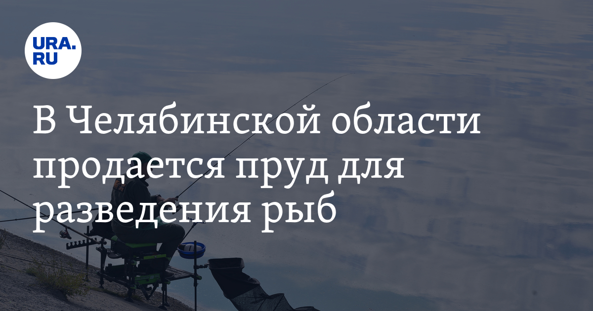 В Челябинской области продается пруд для разведения рыб, скрин