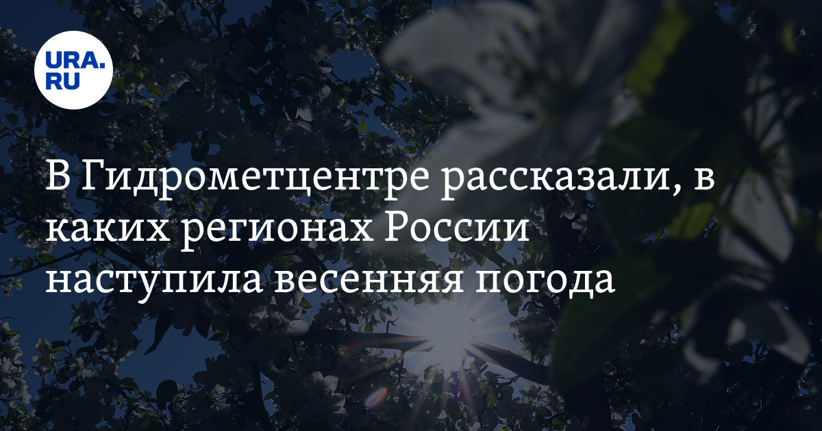 Запрос в гидрометцентр о погодных условиях образец