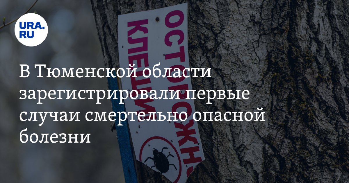 Клещевой боррелиоз и энцефалит в Тюменской области: лечение, опасность ...